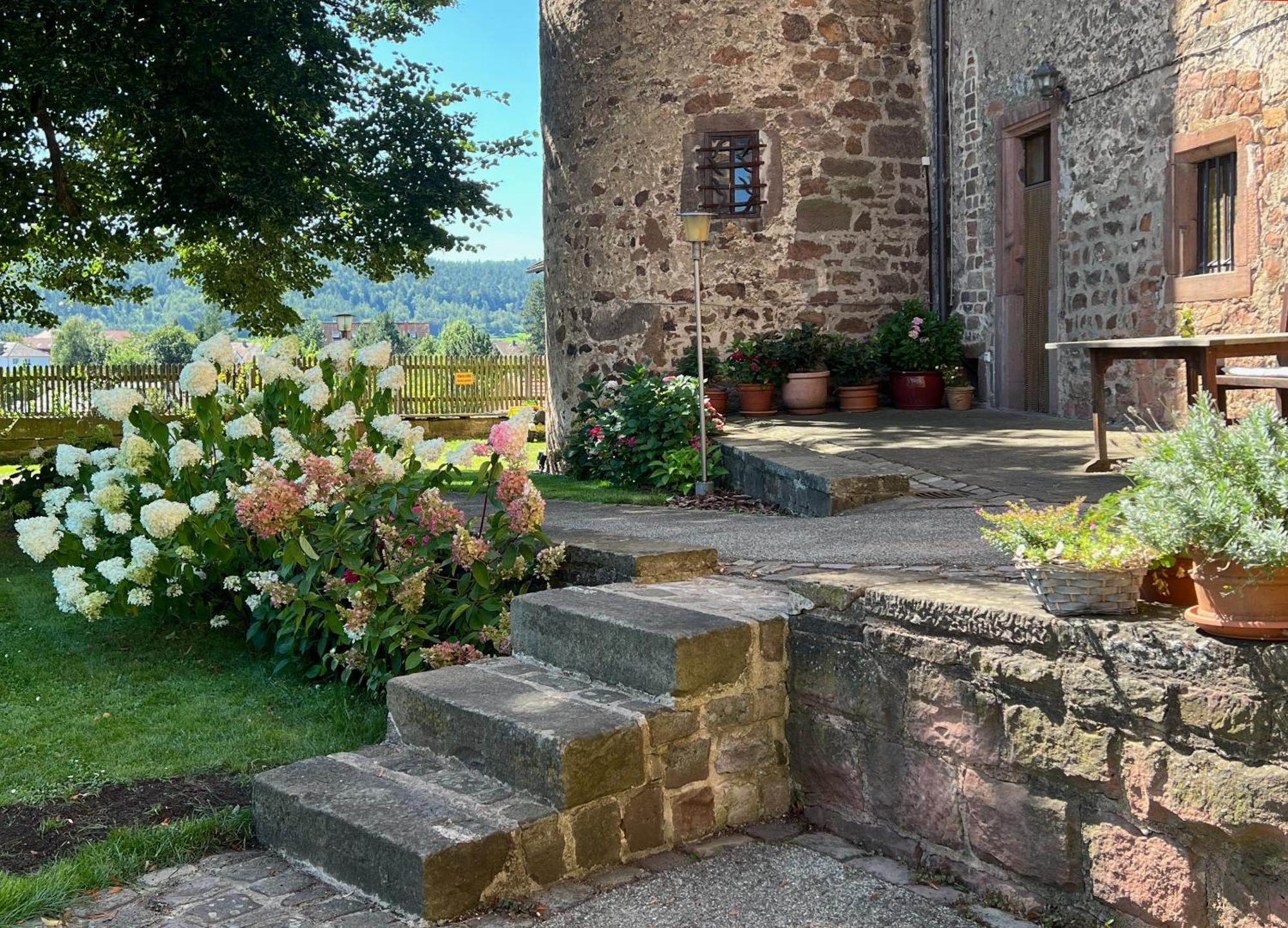 Alte Foersterei - Elegantes Apartment In Der Historischen Hinterburg Schlitz - Nahe Fulda Und Bad Hersfeld 外观 照片